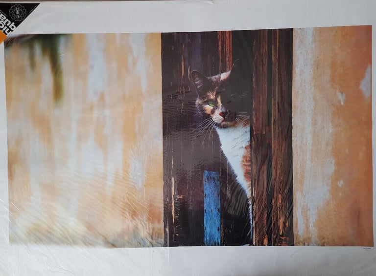 image for Wall Art With Curious Tabby Cat