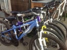 UCB Various 24inch wheel carrera/Specialized mountain bikes in good order 