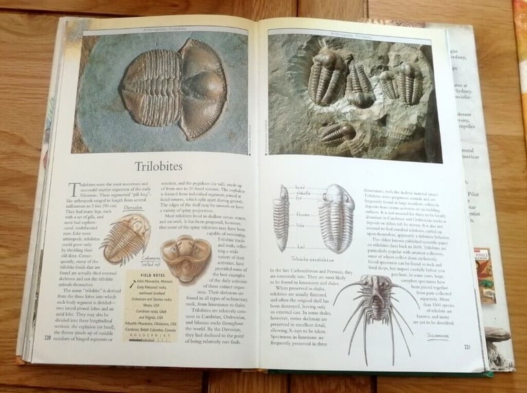 Collins Rocks & Fossils The Ultimate Guide To The Earth Hardback Book