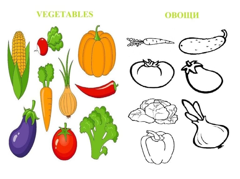 image for Board game 'Vegetables' in English and Russian