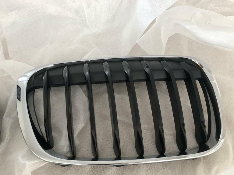 BMW X1 (F48) Kidney Grills