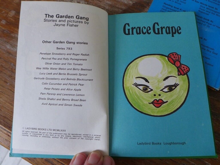 FIVE collectable vintage LADYBIRD books. See titles below.