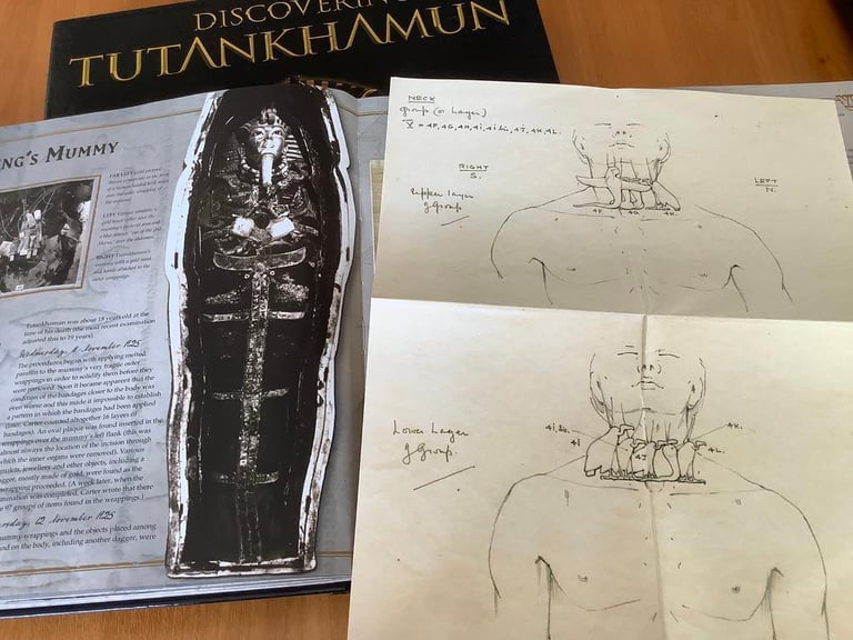 Egyptology Discovering TUTANKHAMUN Book & Docs by Jaromir Malek VGC 