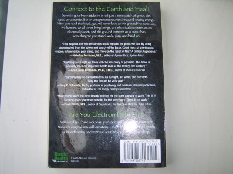 Earthing by Clinton Ober 2d Edition