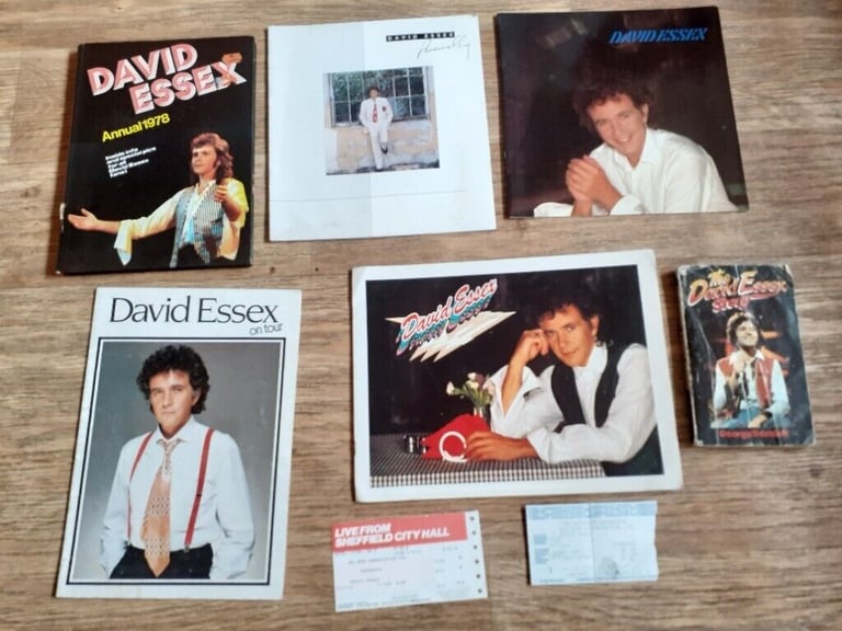 image for 8 x David Essex  tour programme , tickets,  book
