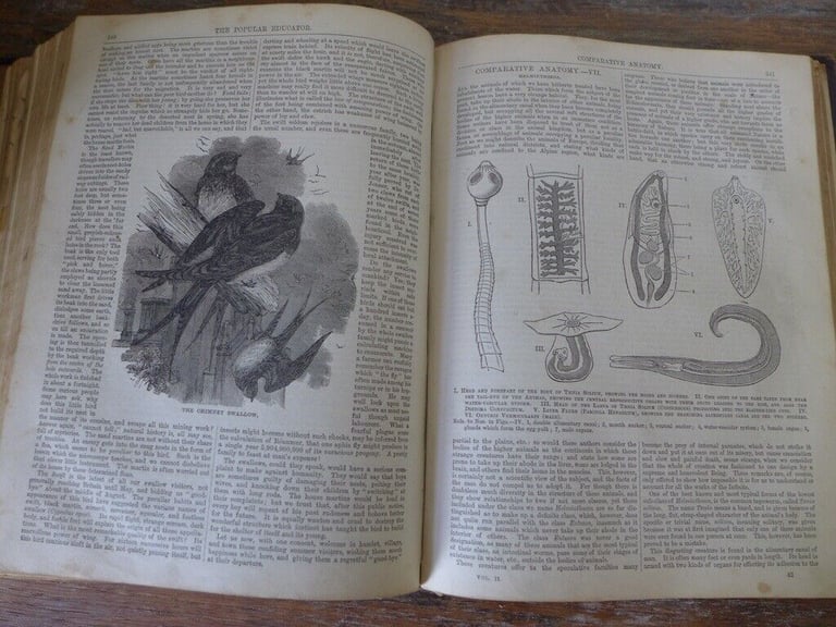 THE POPULAR EDUCATOR: A Complete Encyclopaedia. Three volumes: One, Two and Three.
