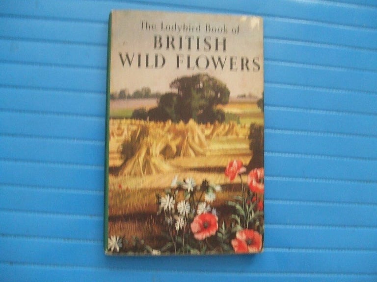 image for LADYBIRD BOOKS MANY FOR SALE.