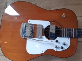Eko Vintage Custom Rat, Electro Acoustic Guitar 