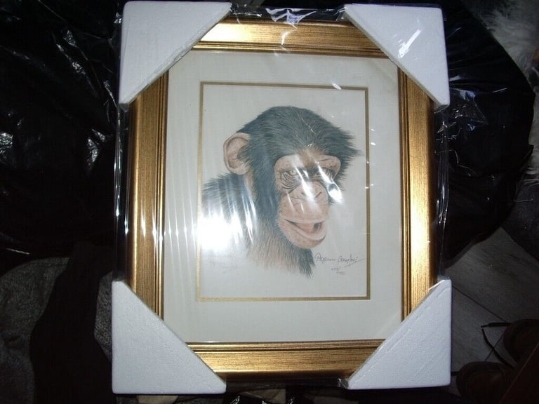 image for stephen gayford prints