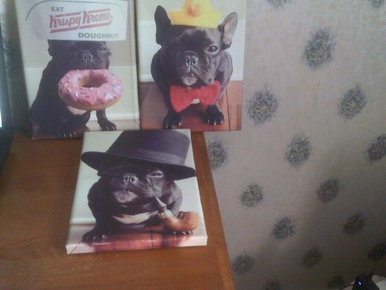 3 CANVAS PRINTS OF DOGS    BUYER COLLECTS   