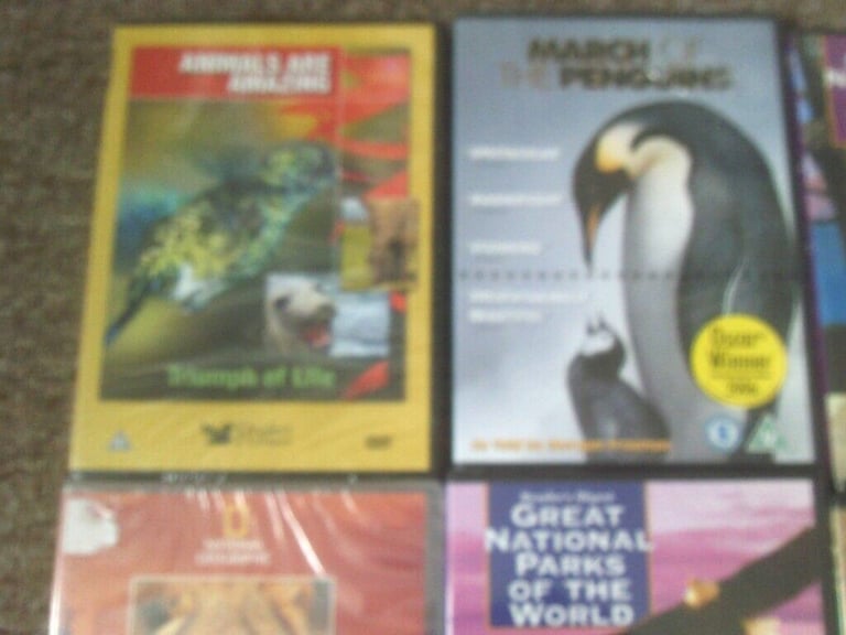 6 WILDLIFE DVDs    NEW SEALED