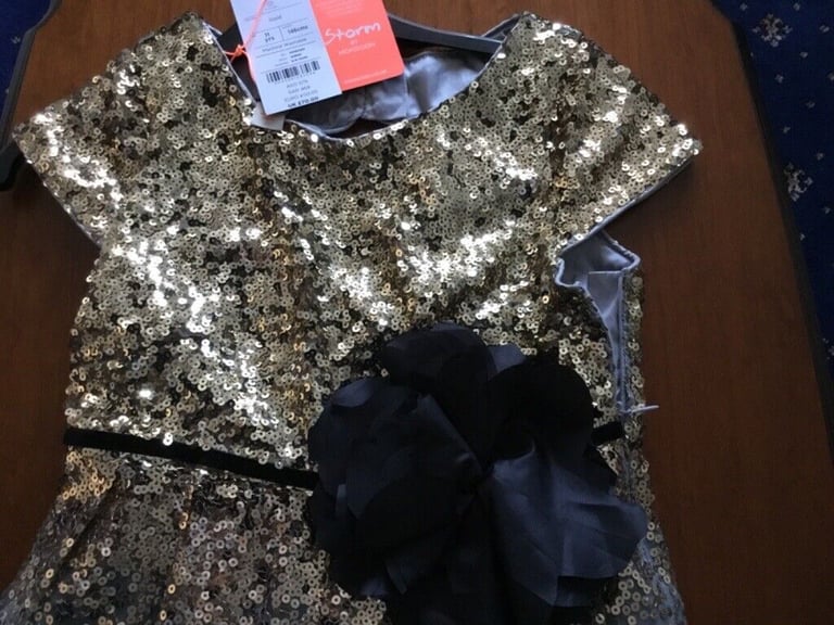 Monsoon Girls Sparkly Dress