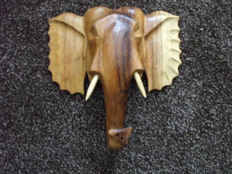 image for Elephant head