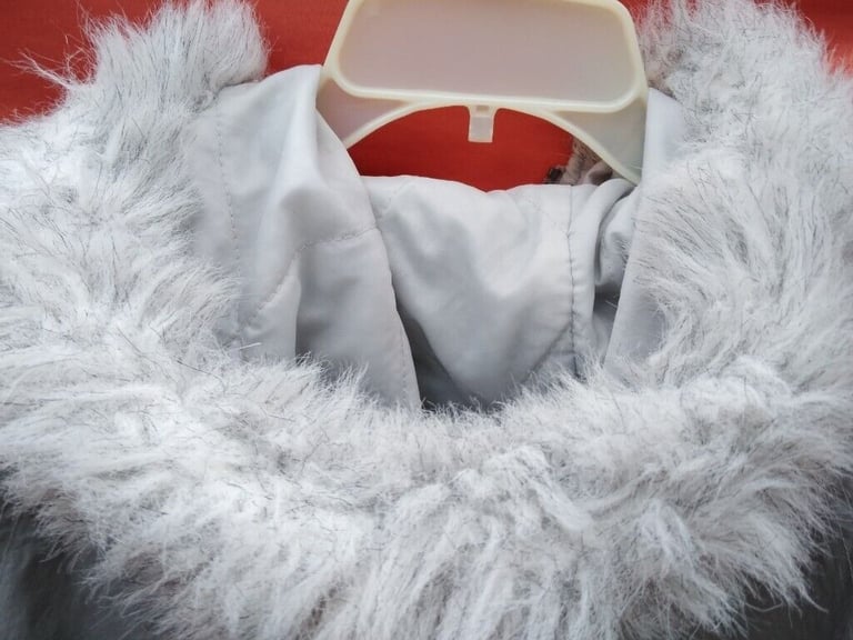 image for Bargain Coat Age c. 10. Silver (reflects); fur-edge hood; pockets galore!