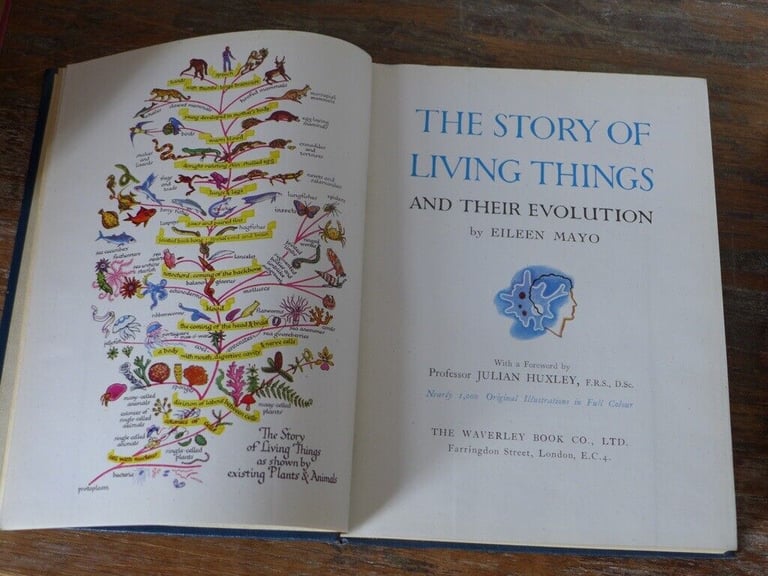 image for THE STORY OF LIVING THINGS AND THEIR EVOLUTION and NATURE’S TEACHINGS. The two for £25.