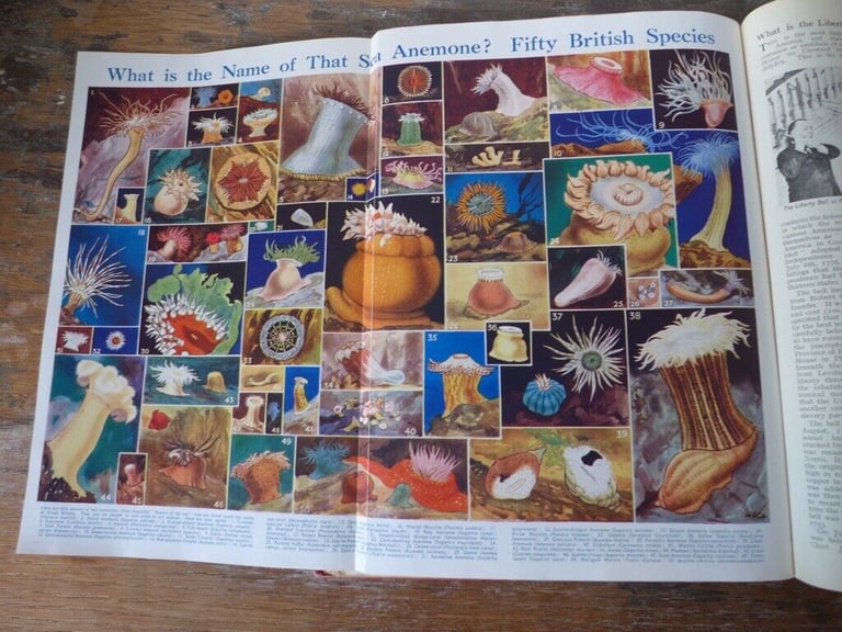 EVERYBODY’S ENQUIRE WITHIN (Part 1) plus EVERYBODY’S ENQUIRE WITHIN, Volume 1 (26 Parts).