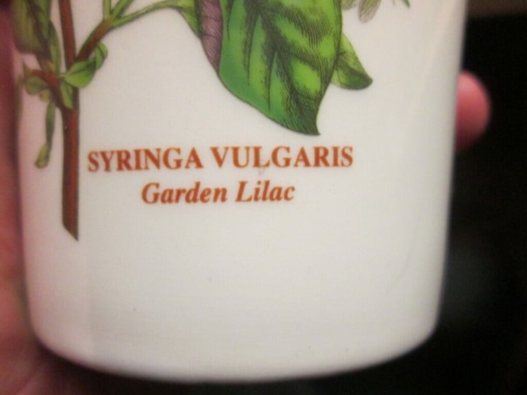 Portmeirion Botanic Garden Vase Syringa Vulgaris Garden Lilac 