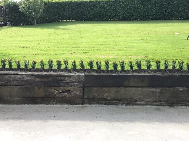 Box Hedging