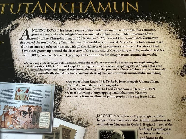 Egyptology Discovering TUTANKHAMUN Book & Docs by Jaromir Malek VGC 