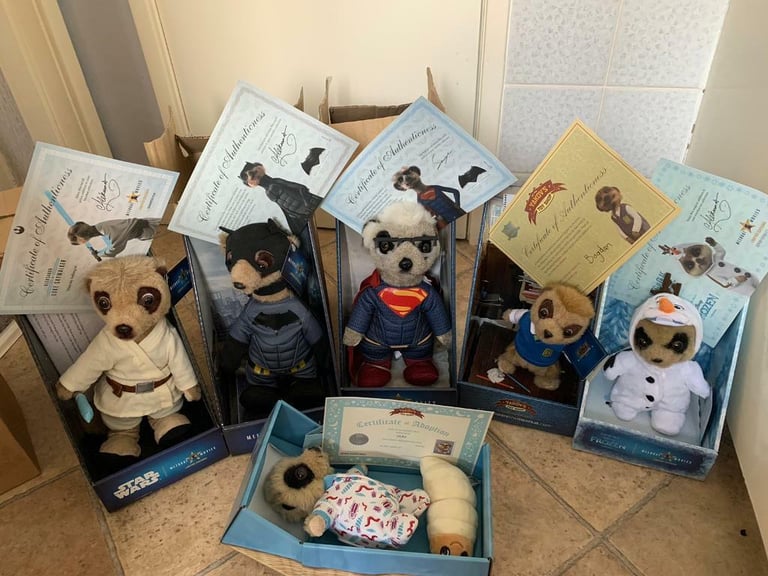 image for New meerkats