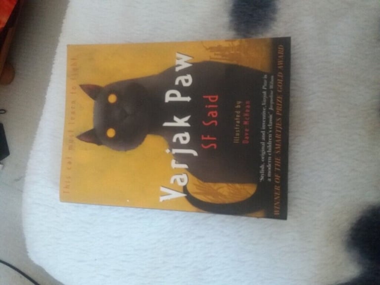 image for Varjak Paw Book 
