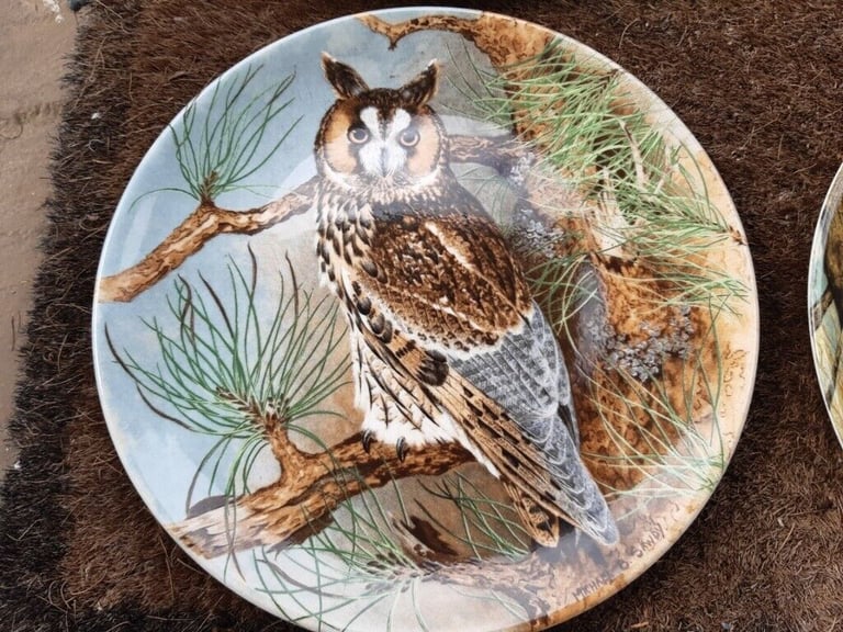 Coalport The Wise Owl Ltd Edition Collectors Plates X 4