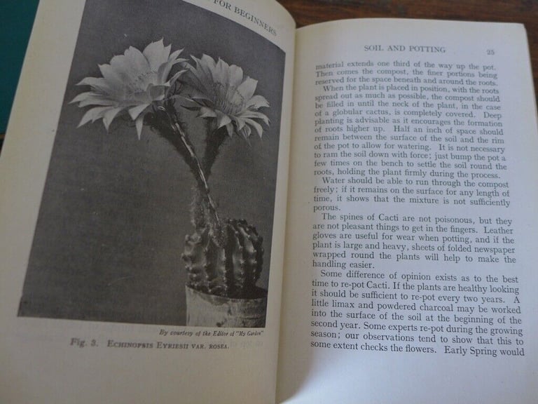 Rare Collectable Gardening Books: SEED AND POTTING COMPOSTS and CACTUS GROWING FOR BEGINNERS.