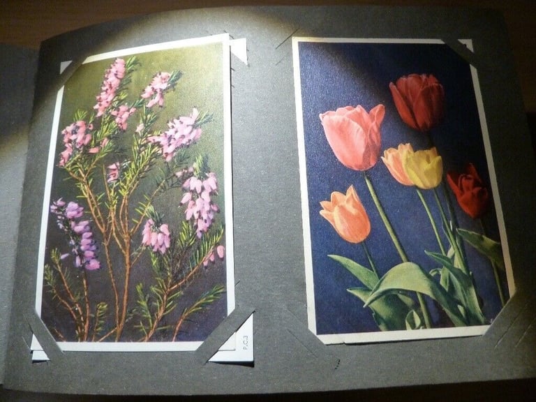 Vintage Postcard Album containing Flower Postcards (unused) J Arthur Dixon, Thor E Gyger