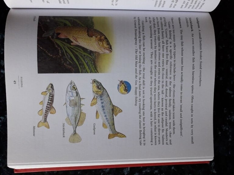 THE DANGEROUS BOOK FOR BOYS AND THE BOYS BOOK OF SPYCRAFT