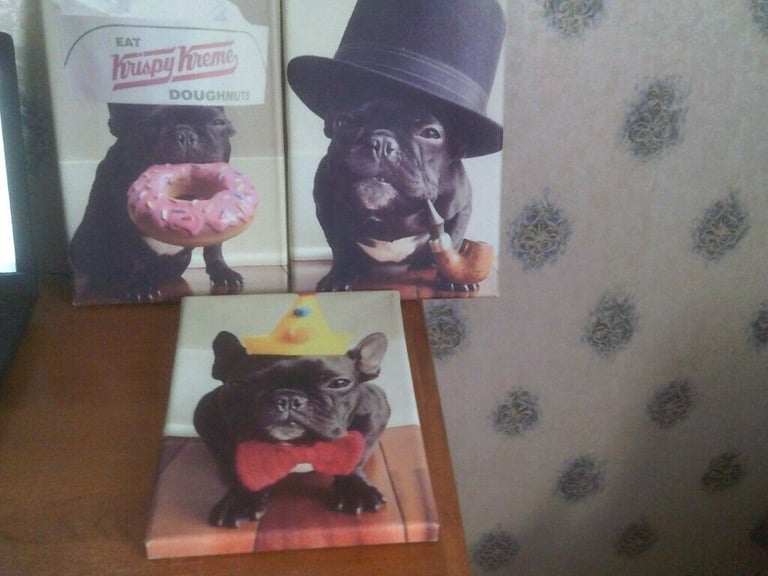 3 CANVAS PRINTS OF DOGS    BUYER COLLECTS   