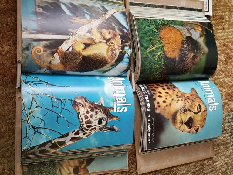 2 Animal Folders full of 1 year subscription