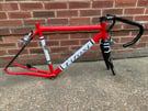 Tifosi frame and forks 