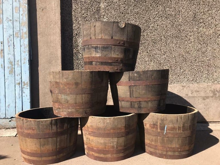 image for Whisky barrel planters 