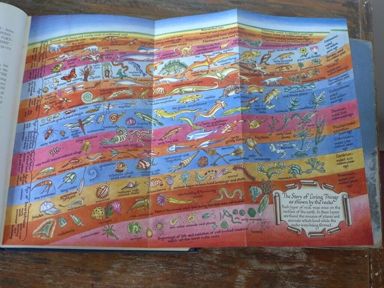 THE STORY OF LIVING THINGS AND THEIR EVOLUTION and NATURE’S TEACHINGS. The two for £25.
