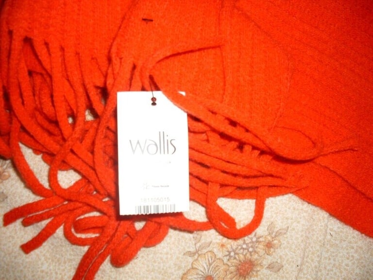 Wallis cape with high neck.One Size. NEW never worn, still tagged. £5 ono