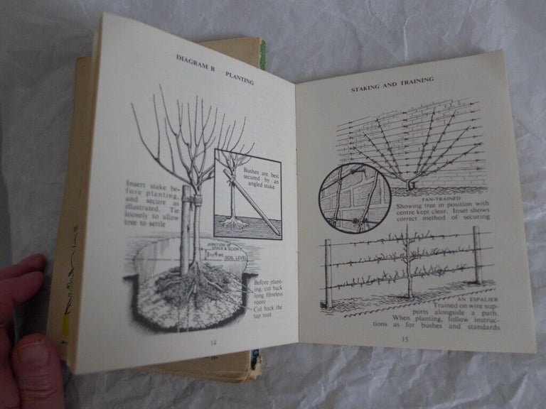 MR CUTHBERT’S GUIDE TO GROWING FRUIT TREES and MIDDLETON’S ALL THE YEAR ROUND GARDENING GUIDE