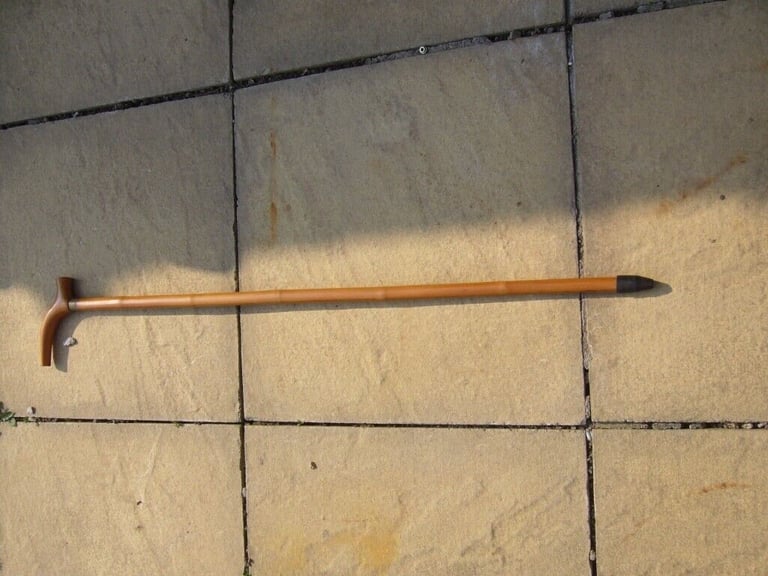 Walking cane