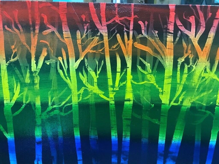 Rainbow forest 