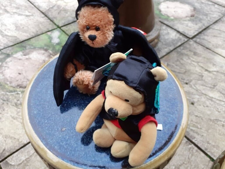 New Disney Bat Pooh and New Ty Bat Bear Beanie Babies.