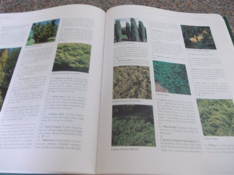The Hillier gardener's guide to Trees & Shrubs very good condition