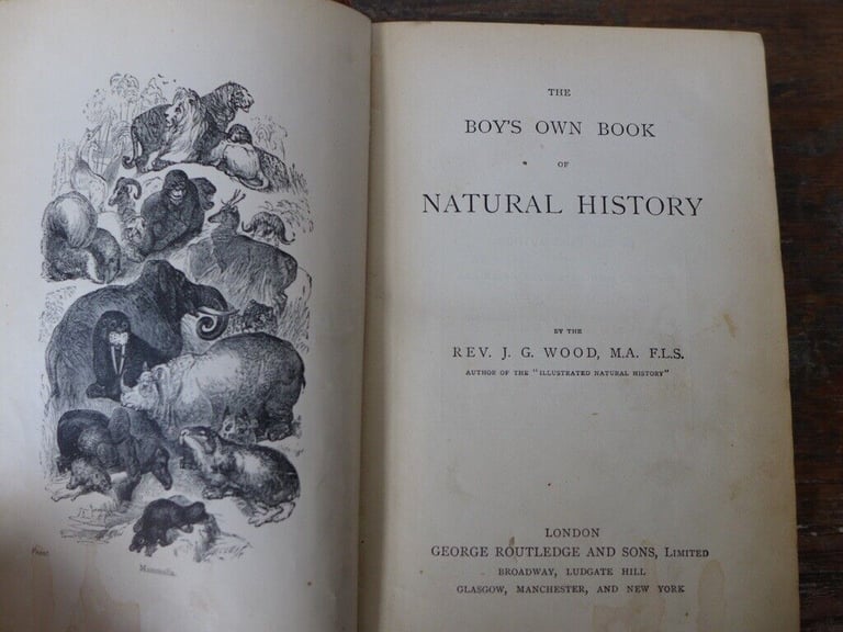 Collectable antique vintage hardback: THE BOY’S OWN NATURAL HISTORY. By the Rev J G Wood.