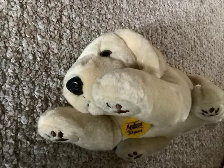 Andrex Puppy 30 Years