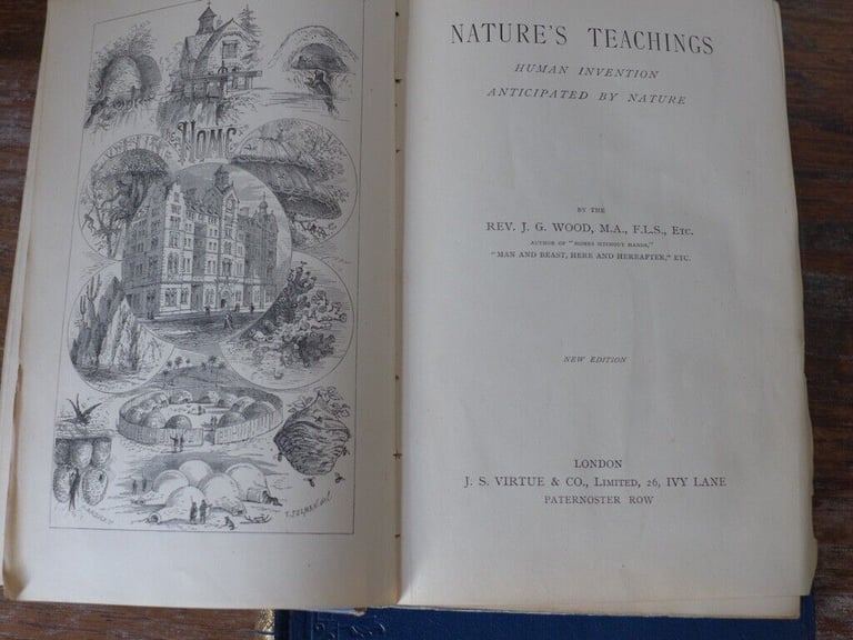THE STORY OF LIVING THINGS AND THEIR EVOLUTION and NATURE’S TEACHINGS. The two for £25.