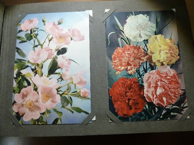Vintage Postcard Album containing Flower Postcards (unused) J Arthur Dixon, Thor E Gyger