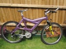 RALEIGH MOUNTAIN BIKE IN NEED OF TLC