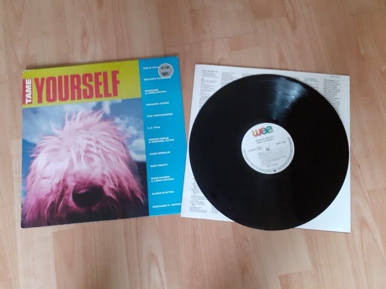 Tame yourself 90s vinyl LP erasure b52s 
