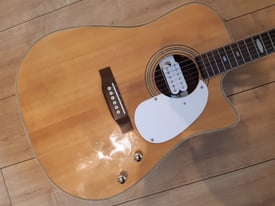 Encore Custom Electro Acoustic Guitar 