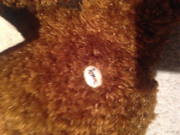 beanie plush bear sunkid new