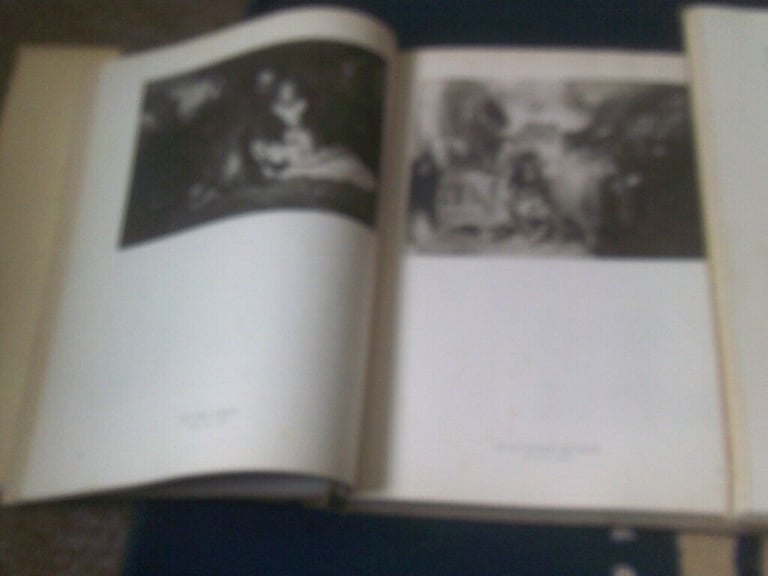 2  TURNER + VAN GOGH   PAINTERS BOOKS    H/B 