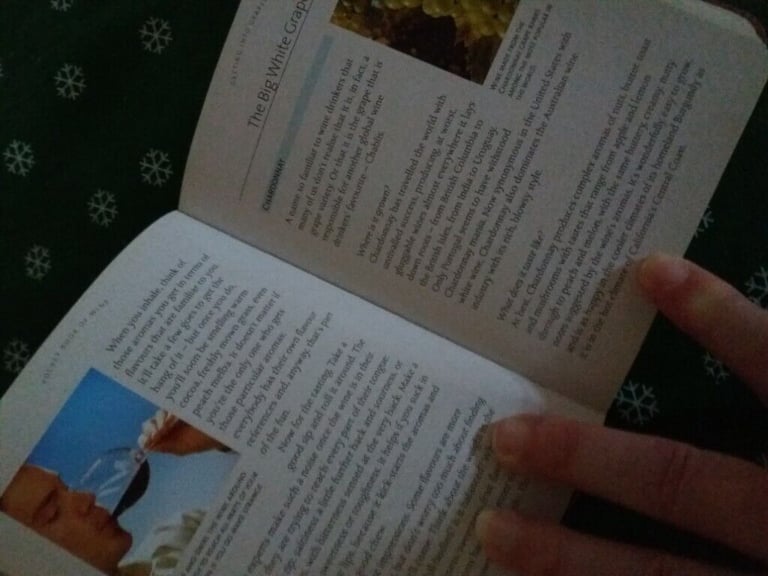 POCKET BOOK OF WINE
